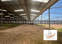 Lakhyayta, dar Bouazza, hangar en location avec charpente