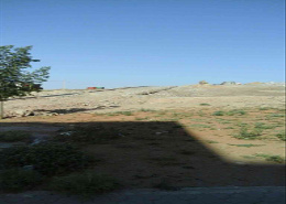 أرض for vendre in طريق الغرب - وجدة