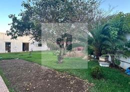 فيلا تجارية - 3 حمامات for vendre in سويسي - الرباط