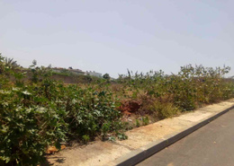 Terrain for vendre in Californie - Casablanca Terrain for vendre in Californie - Casablanca