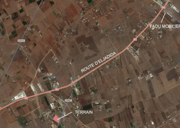 A vendre terrain 1,3 ha rte el jadida 6 700 0