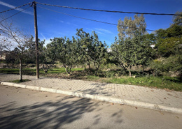 Terrain for vendre in Boubana - Tanger