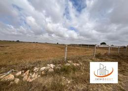 Terrain for vendre in Dar Bouazza - Casablanca Terrain for vendre in Dar Bouazza - Casablanca