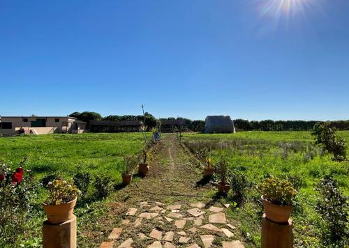 Ferme for vendre in Bouznika - Bouznika Ferme for vendre in Bouznika - Bouznika