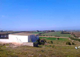 Terrain - 2 bathrooms for vendre in Tnin chtouka - El Jadida