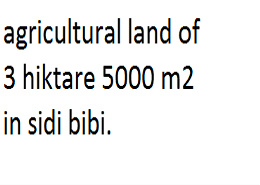 agricultural land of 3 hiktare 5000 m2 in sidi bibi.