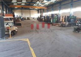 Usine industrielle de 2hect de surface de terrain industriel i2 dont 8.000 m de surface couverte a la vente a oulad saleh Bouskoura