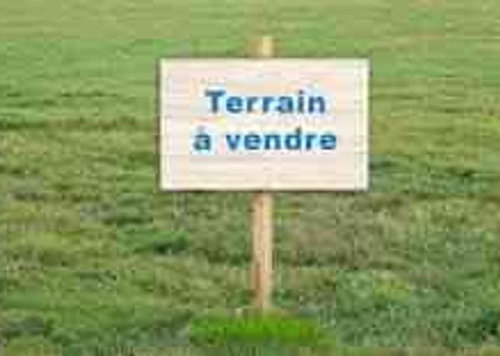 affaire a saisir: terrain titré de 10000 m²