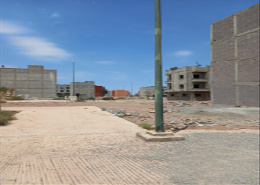 Terrain for vendre in Mhamid - Marrakech Terrain for vendre in Mhamid - Marrakech