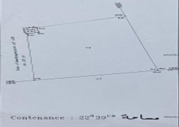 Terrain for vendre in Sidi Maarouf - Casablanca