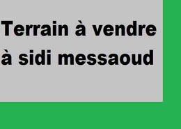 أرض for vendre in سيدي مسعود - الدار البيضاء أرض for vendre in سيدي مسعود - الدار البيضاء
