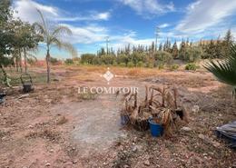 Terrain for vendre in Route d'Ourika - Marrakech