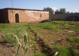 Maison - 4 pièces - 1 bathroom for vendre in Taroudant - Taroudant