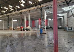 Usine for louer in Ain Sebaa - Casablanca