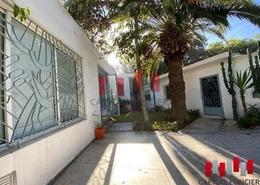 Villa Commerciale - 4 bathrooms for louer in Palmier - Casablanca