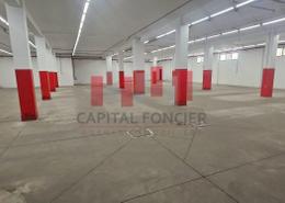 Usine for louer in Lissasfa - Casablanca