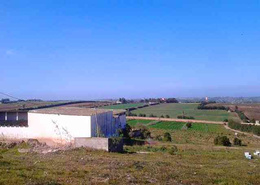 Ferme 17 h à Tnine Chtouka