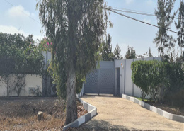 Terrain for vendre in Benslimane - Benslimane
