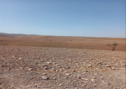 Terrain for vendre in Route de Tahanaoute - Marrakech
