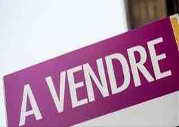 plateaux a vendre