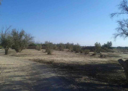 Terrain for vendre in Taroudant - Taroudant