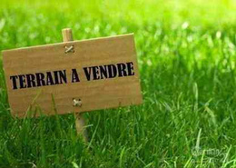 terrain 5 ha pour projet