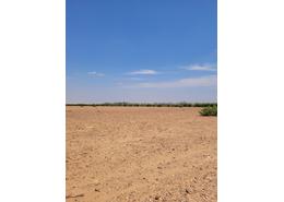 Terrain for vendre in Route Amizmiz - Marrakech Terrain for vendre in Route Amizmiz - Marrakech
