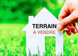 TERRAIN DE 50 HECTARES