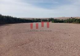 Terrain 6000m2 aménagé pour stockage de véhicules à la location Merchiche
