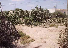 Terrain for vendre in Taroudant - Taroudant