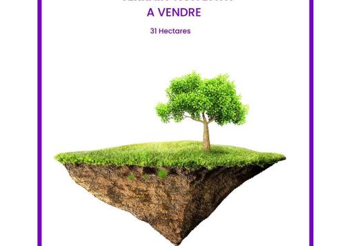 Terrain for vendre in Hay Nahda - Rabat Terrain for vendre in Hay Nahda - Rabat