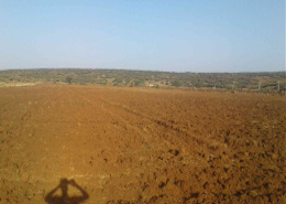 Terrain for vendre in El Hajeb - El Hajeb