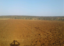 TERRAIN AVENDRE