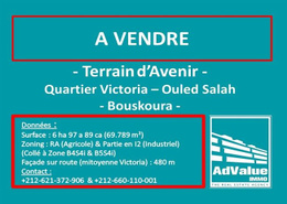 DV.601 : Terrain à vendre à Ouled Salah :