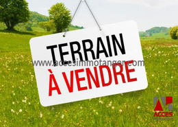 Terrain for vendre in Tanja Balia - Tanger Terrain for vendre in Tanja Balia - Tanger