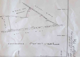 Terrain Titré de deux Hectares à vendre