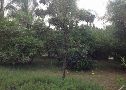 villa de haut standing