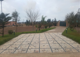 Ferme for vendre in Sidi rahal - Sidi Rahal