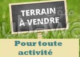 Terrain for vendre in Californie - Casablanca
