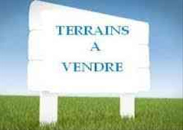 terrain a vendre