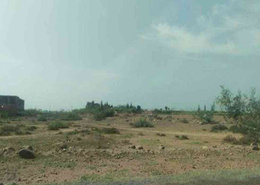 Terrain 1544 M²