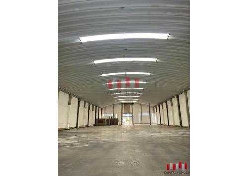 Usine for louer in Sapino - Casablanca