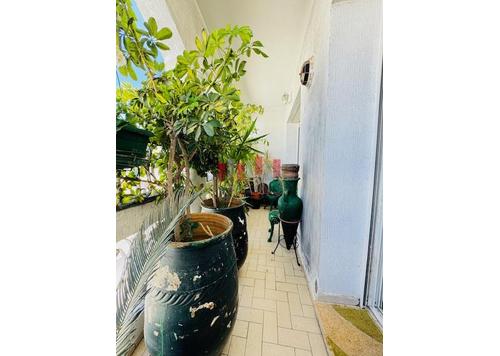 Appartement - 3 pièces - 2 bathrooms for vendre in Racine - Casablanca Appartement - 3 pièces - 2 bathrooms for vendre in Racine - Casablanca