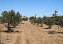 Terrain for vendre in Route d'Immouzer - Meknes