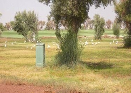 Terrain for vendre in Amelkis - Marrakech