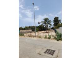 Terrain for vendre in Dar Bouazza - Casablanca