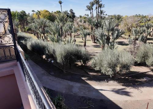 Riad - 3 bathrooms for vendre in Annakhil - Marrakech Riad - 3 bathrooms for vendre in Annakhil - Marrakech