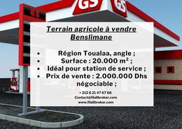 Terrain for vendre in Benslimane - Benslimane