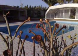 أرض for vendre in غير محدد - أسفي أرض for vendre in غير محدد - أسفي