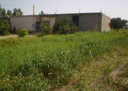 Maison - 5 pièces - 1 bathroom for vendre in Taroudant - Taroudant